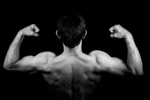 masa muscular